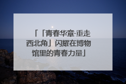 「青春华章·重走西北角」闪耀在博物馆里的青春力量